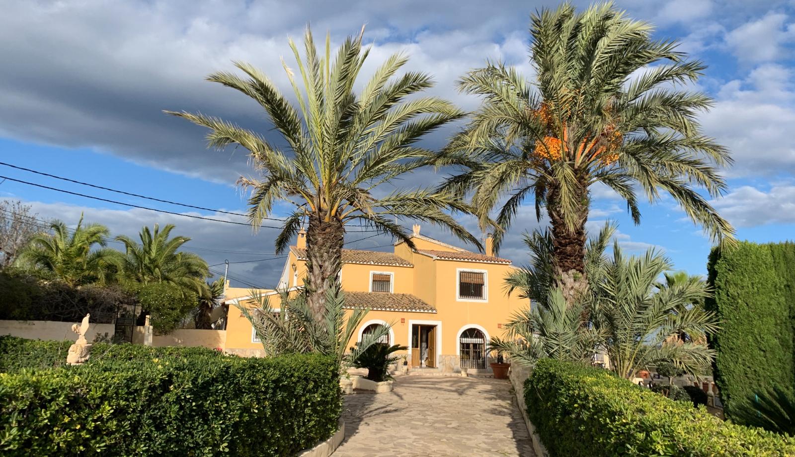 Gele finca met palmbomen huis kopen aan de Costa Blanca