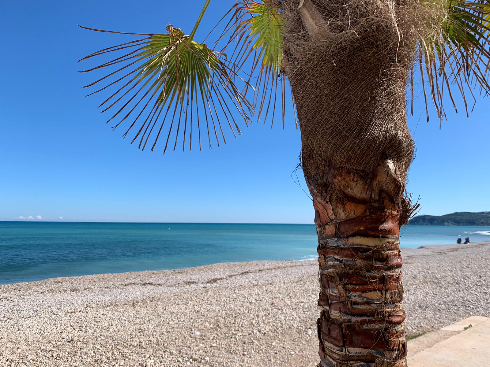 palm tree in foreground with sea and pebble beach holiday home costa blanca
